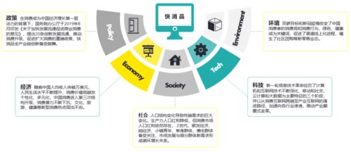 數字心智運營 把握時代機遇，論中國快消品企業D2C轉型趨勢及北京企業網站開發與運營